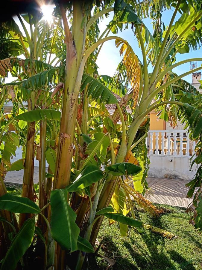 El Paraiso Del Sol Cartagena Exteriör bild